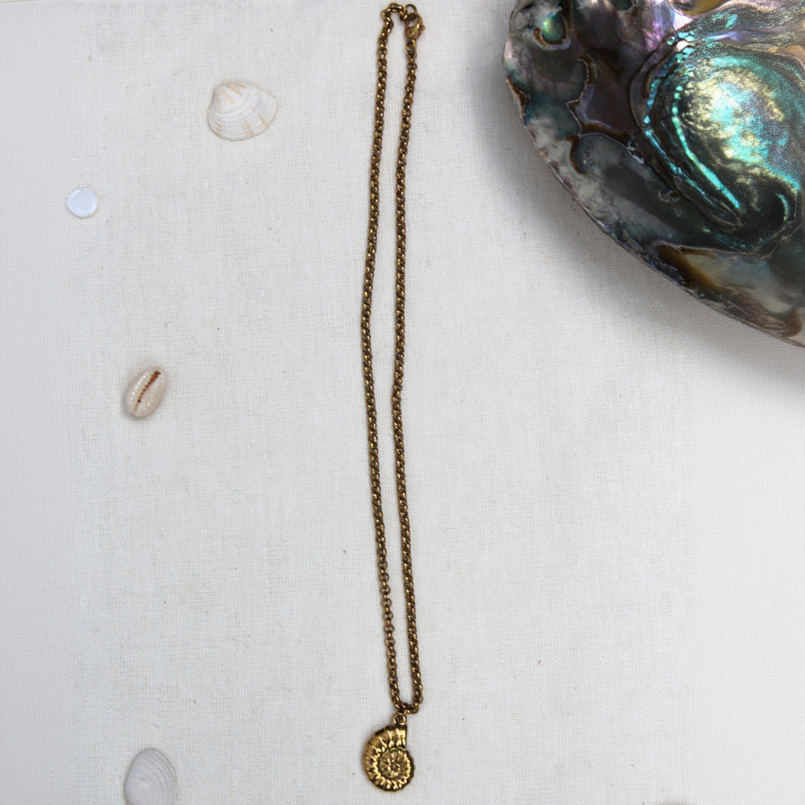 Sea Shell Gold Charm Necklace